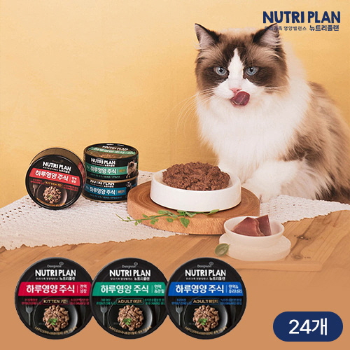 [뉴트리플랜] 하루영양 주식캔 85g x 24캔 (택1)