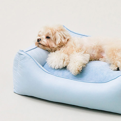 [아르르] 꿀잠방석 V3 M (택1)