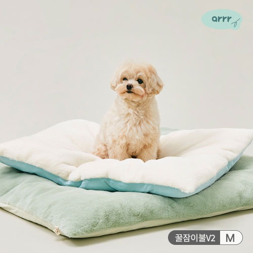 [아르르] 꿀잠이불 M (택1)
