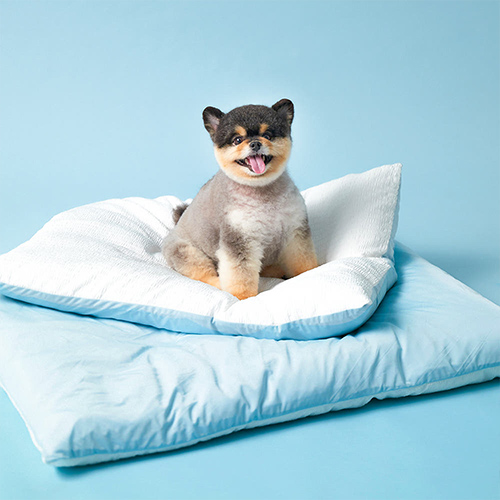 [아르르] 꿀잠이불 쿨링 M (택1)