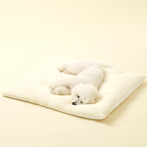 [아르르] 꿀잠이불 쿨링 L (택1)