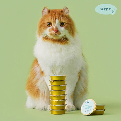 [아르르] 사르르 미니캔 고양이용 (택1)
