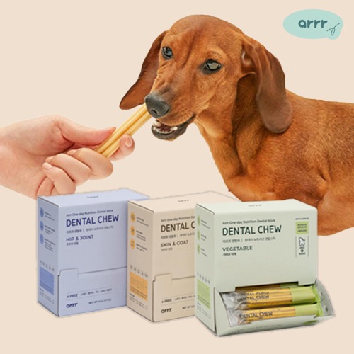 [아르르] 덴탈츄 대용량 (택1)