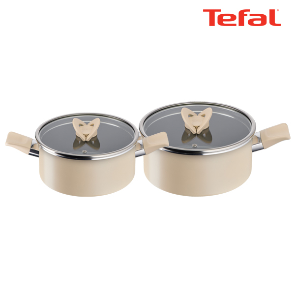 테팔 팬&냄비 인덕션 블라썸 베이지 2종세트 (양수냄비 20cm + 24cm)